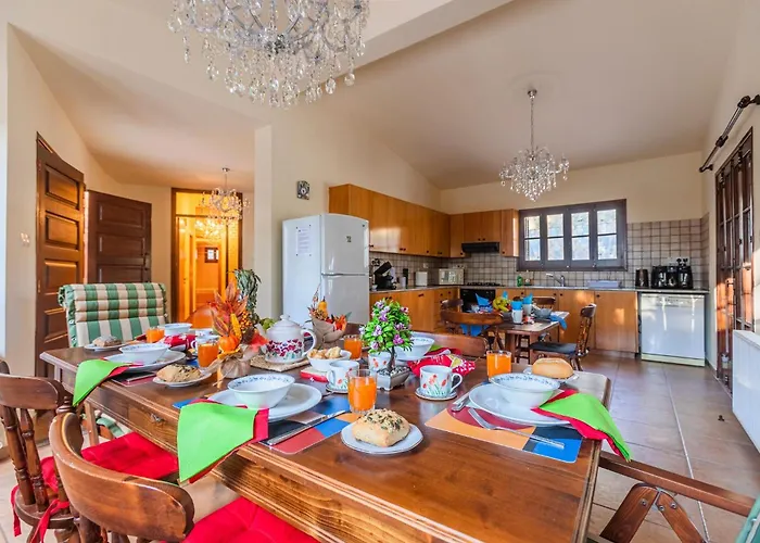 Penelope Vila Kato Platres