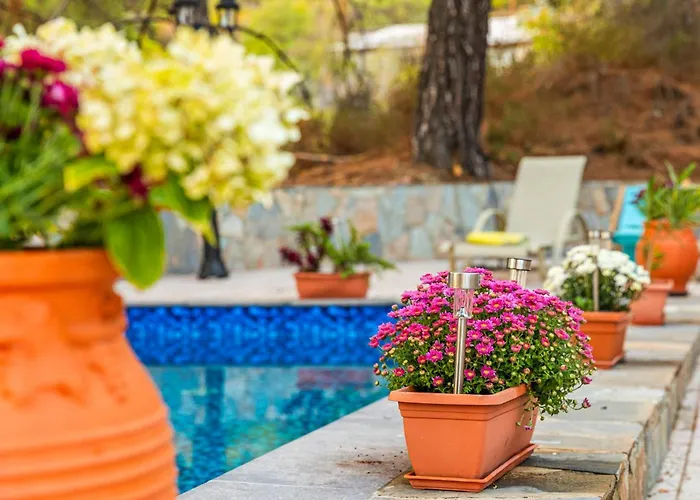 ヴィラ Penelope *